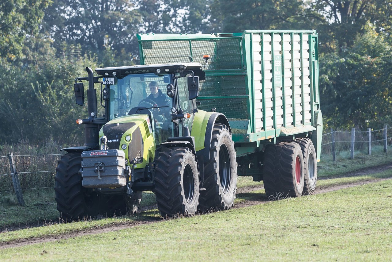 Bild 162 - Maisernte